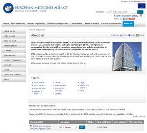 Principal Issues in European Union Website Localisation